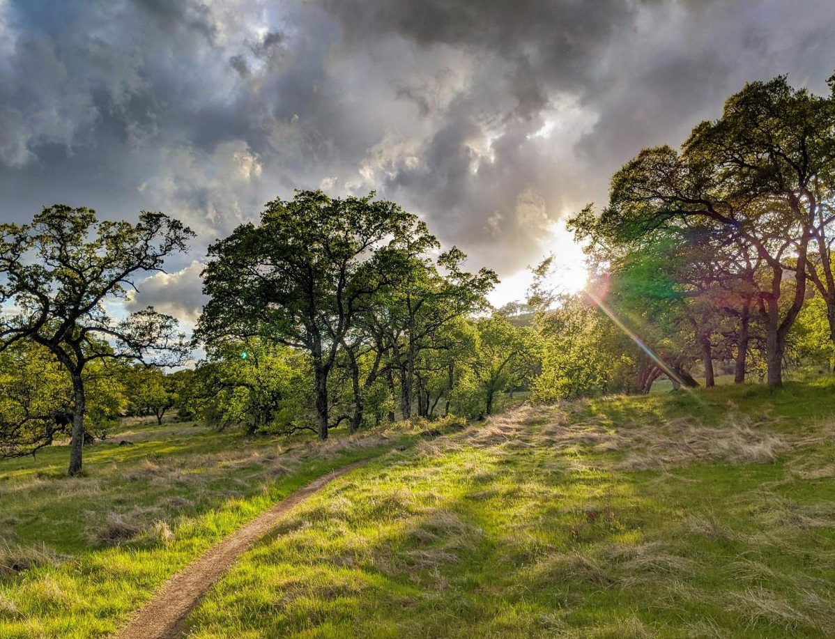 Upper Bidwell Park. Photo Credit: Jim Nelson, City of Chico