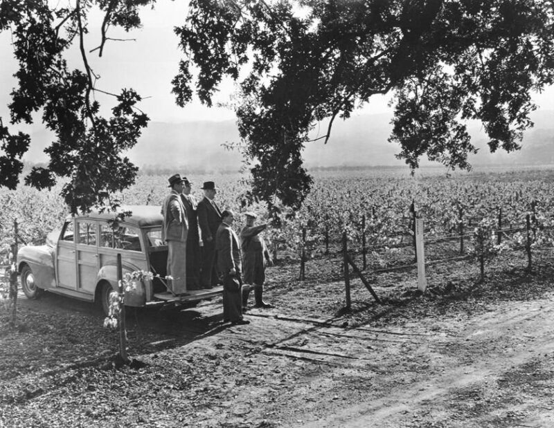 The Beaulieu Family; Photo Credit: BV Wines