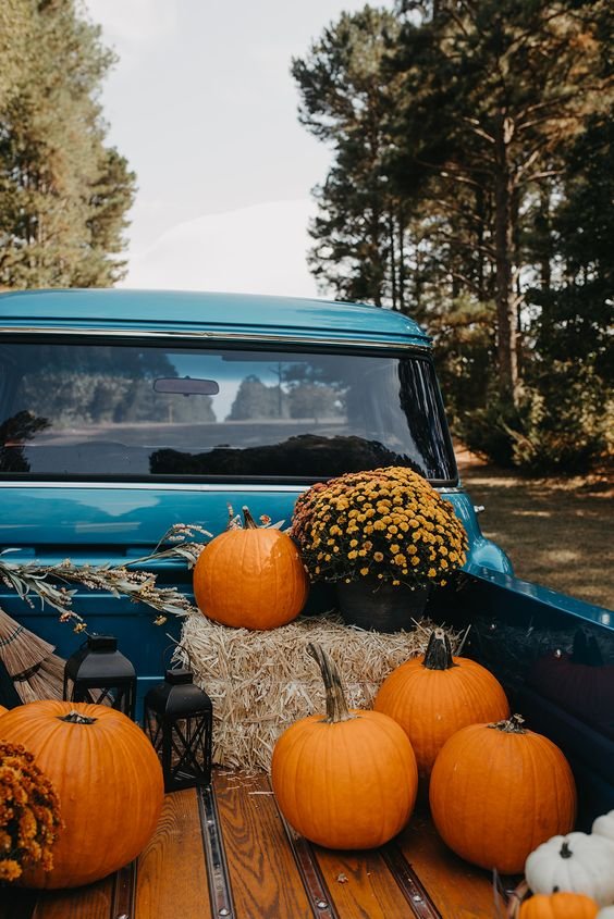 pumpkins in back of pickup truck