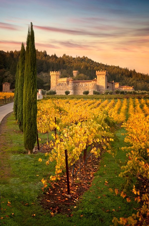 Castello di Amorosa.