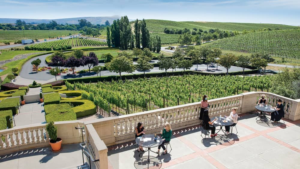 Domaine Carneros