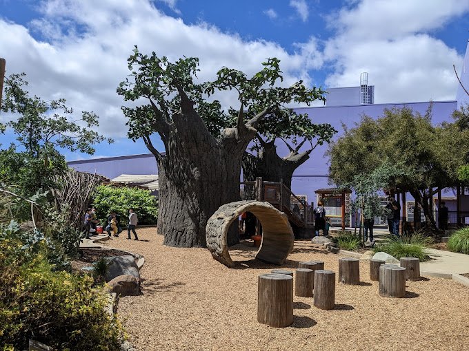 Bill’s Backyard at San Jose Children’s Discovery Museum