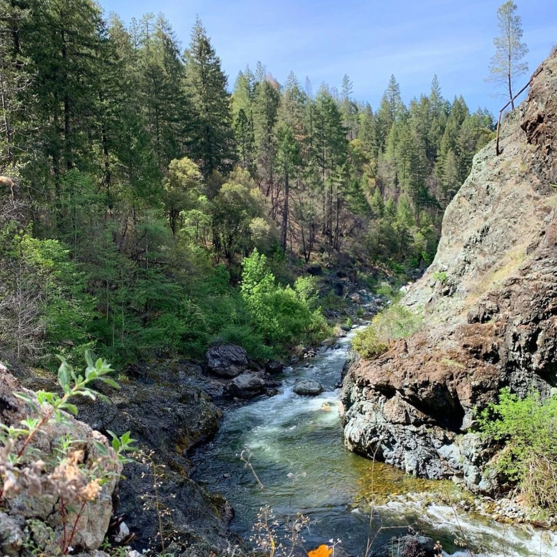 The Flumes