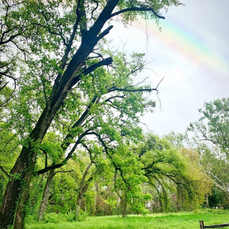 Lower Bidwell Park