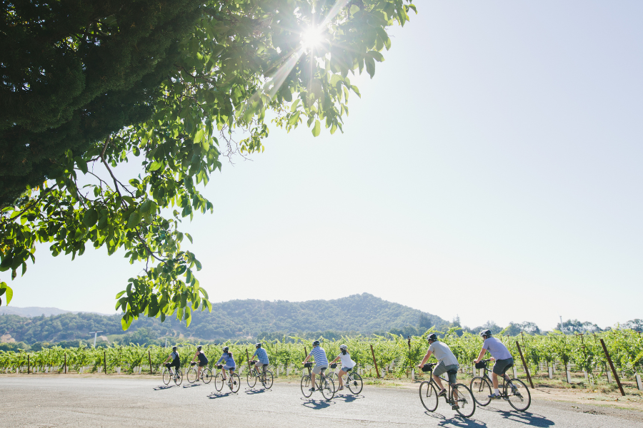 Napa Valley Bikers