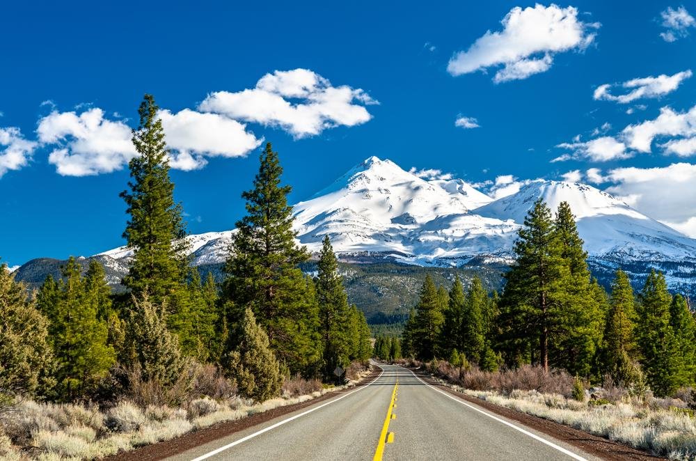 Mount Shasta