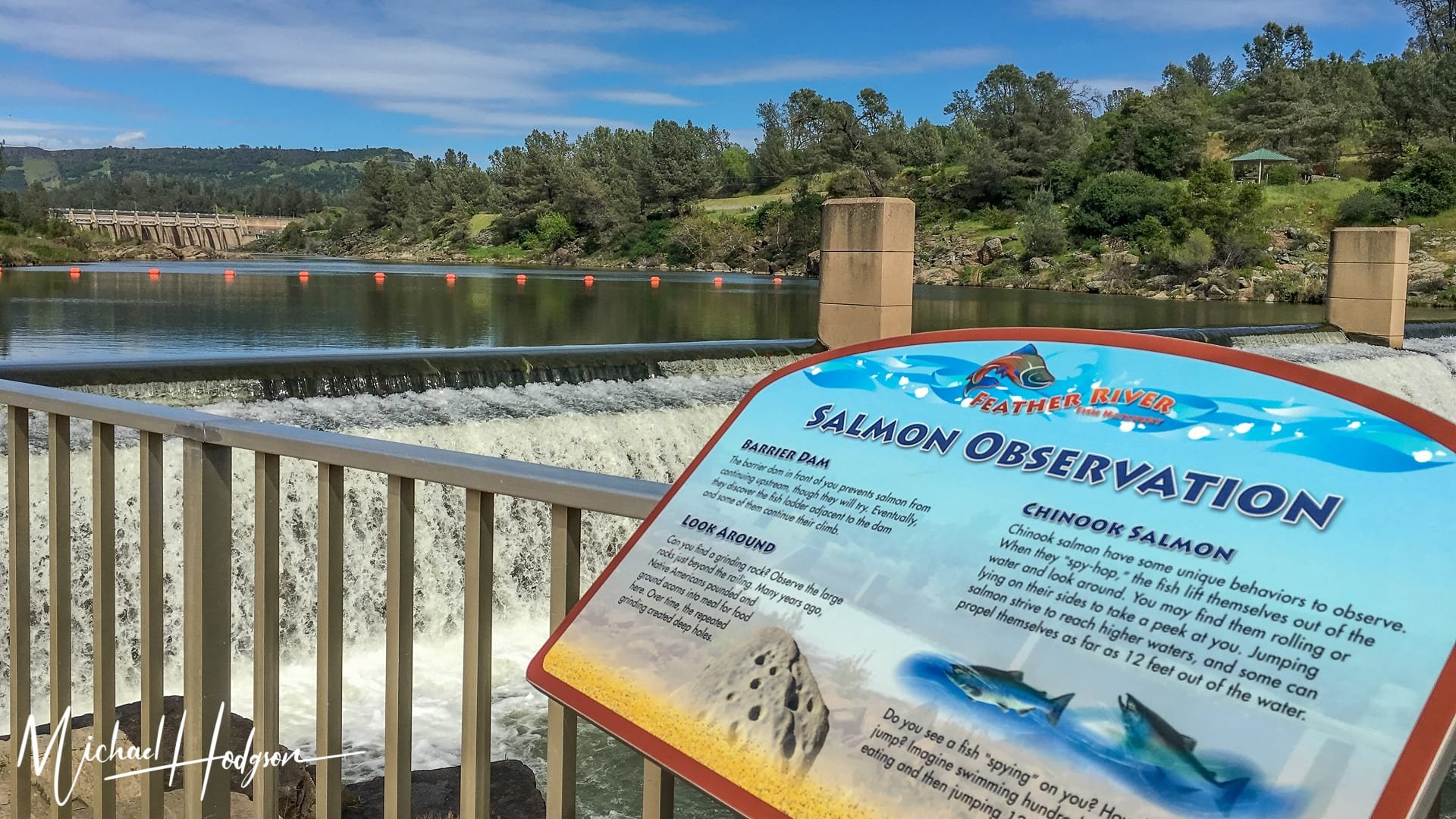 Feather River Fish Hatchery, Oroville, CA