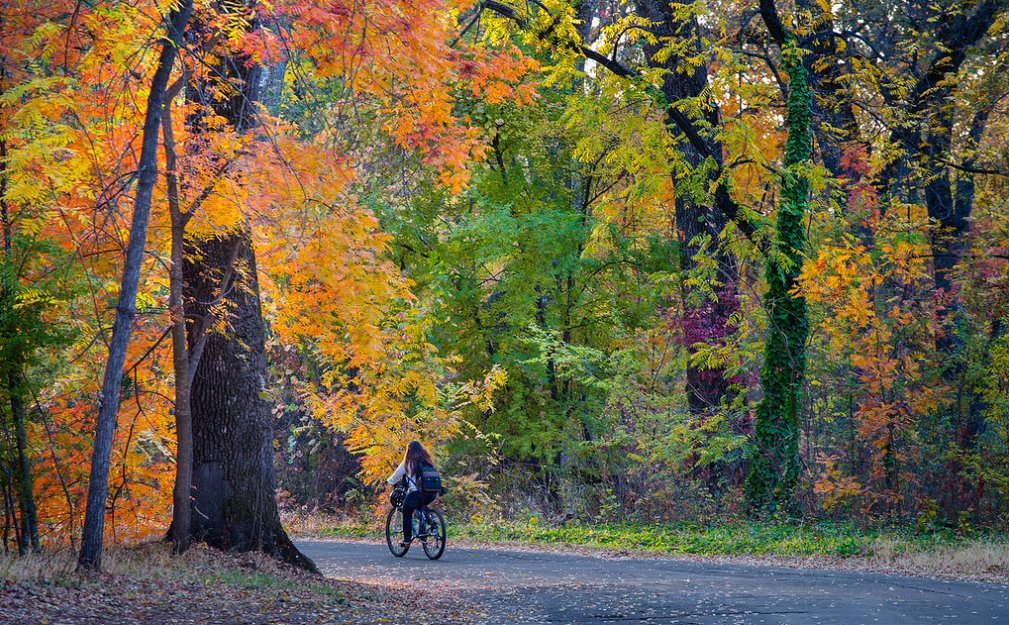 Lower Bidwell Park Walking/Bike Path; Photo Credit: Anthony Dunn