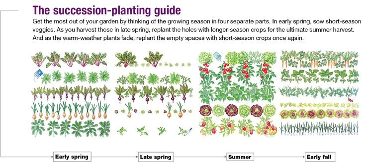 Photo Credit: Fine Gardening Magazine