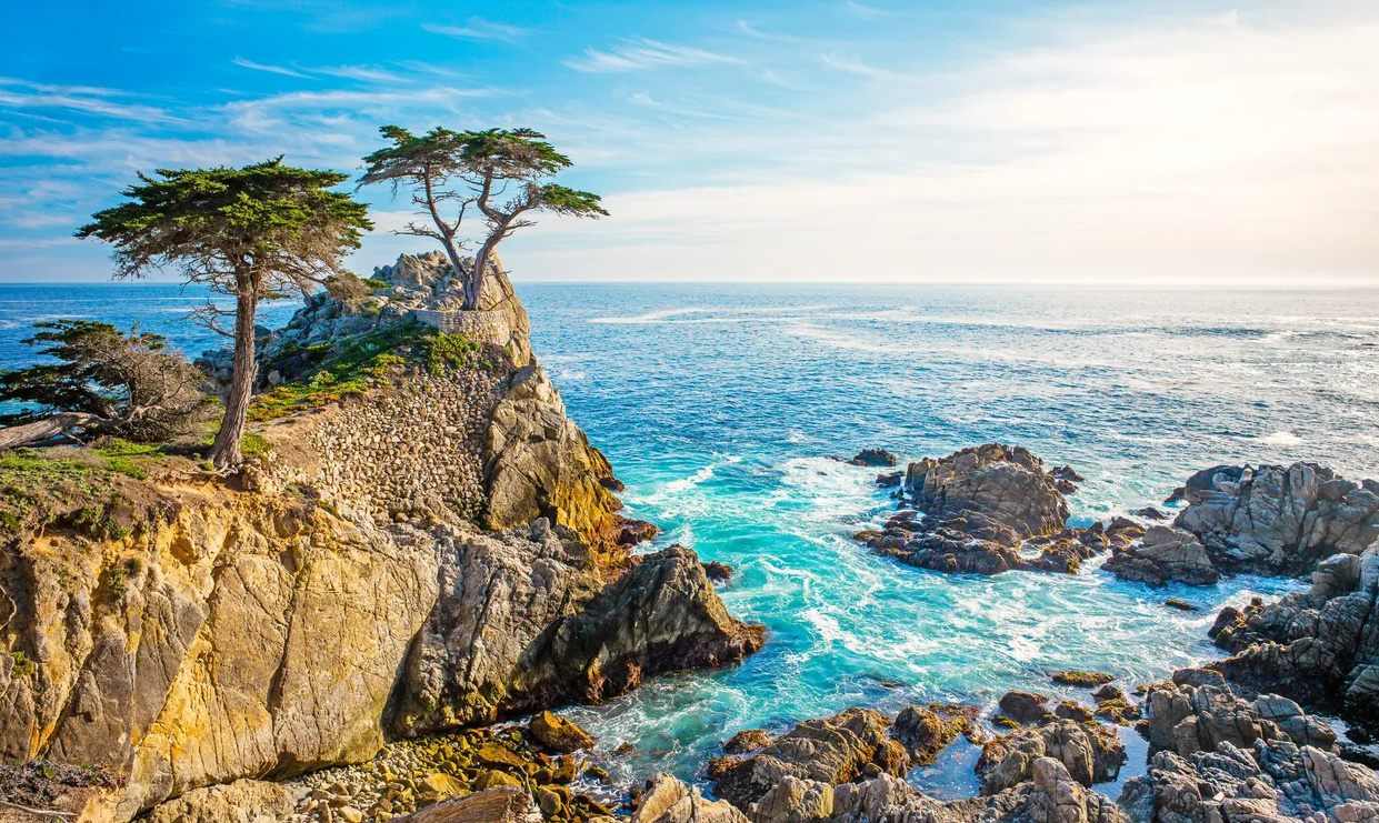 Famous Lone Cyprus Tree along scenic coastline on the 17-mile drive;