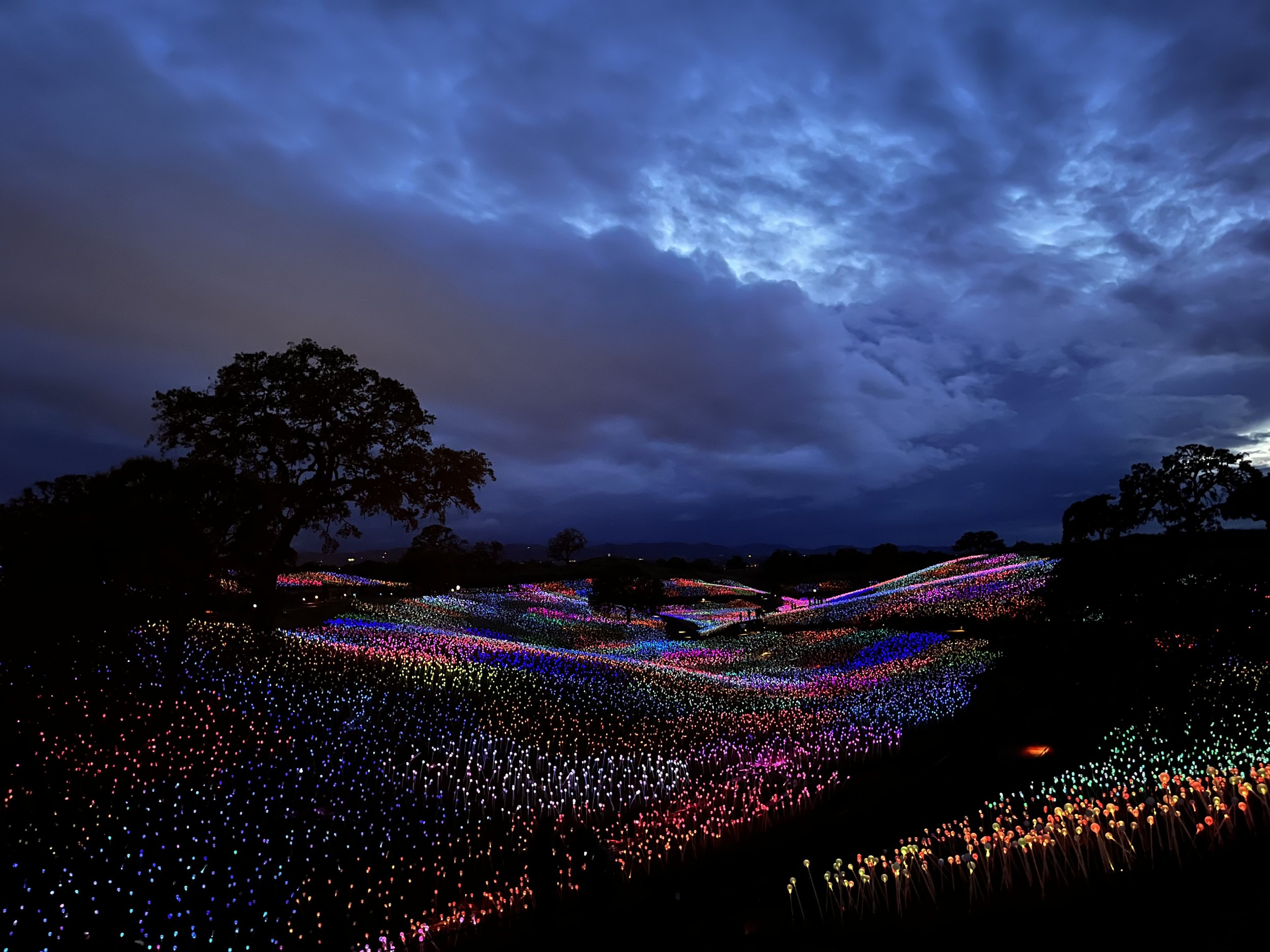 Sensorio Light Show; Photo Credit: Keri Verne