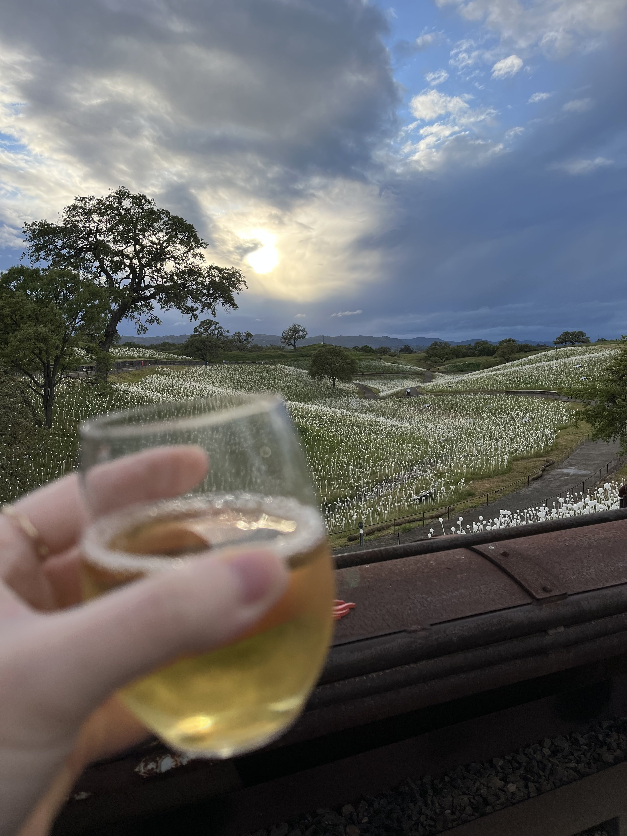 Sensorio, at sunset; Photo Credit: Keri Verne