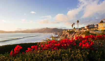 Pismo Beach Coastline with red flowers in foreground